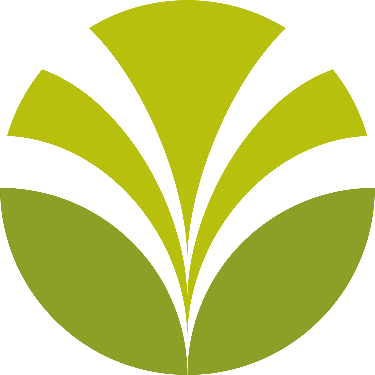 Olam Group