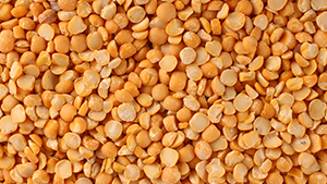 Chana Dal