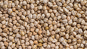 Chickpeas