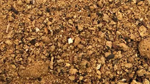 Cottonseed DOC