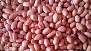 Groundnut Kernels