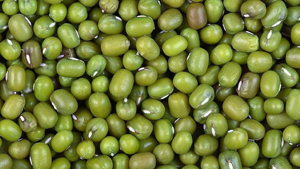 Moong