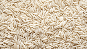 Rice