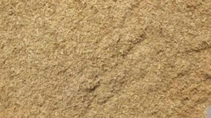 Rice Meal