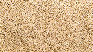Sesame Seeds