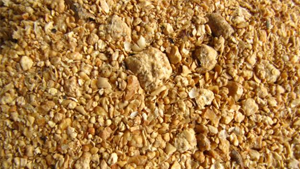 Soybean Meal