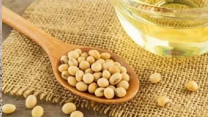 Soya Solvent Oil