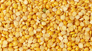 Tur Dal