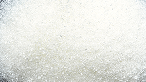 White Cane Sugar